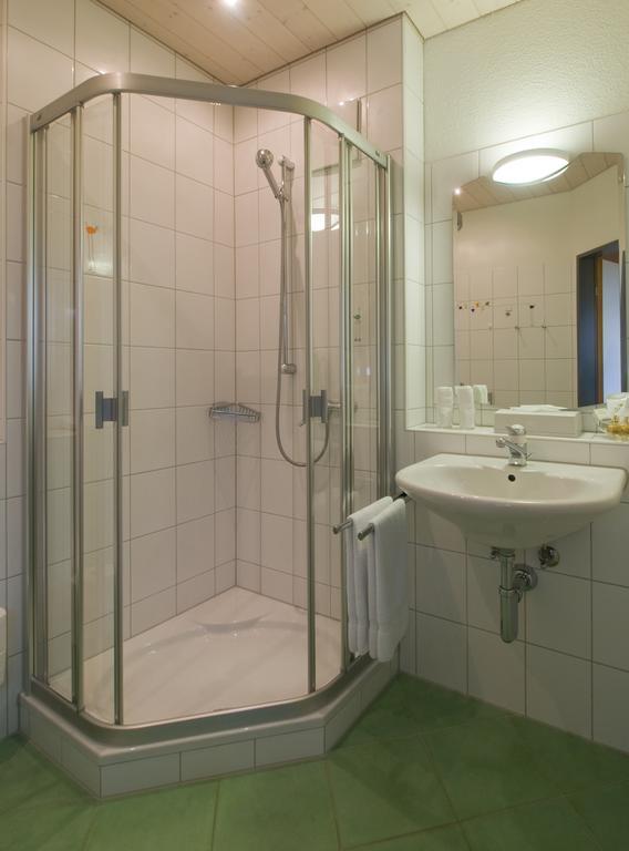 Seehotel Delphin Meisterschwanden Chambre photo